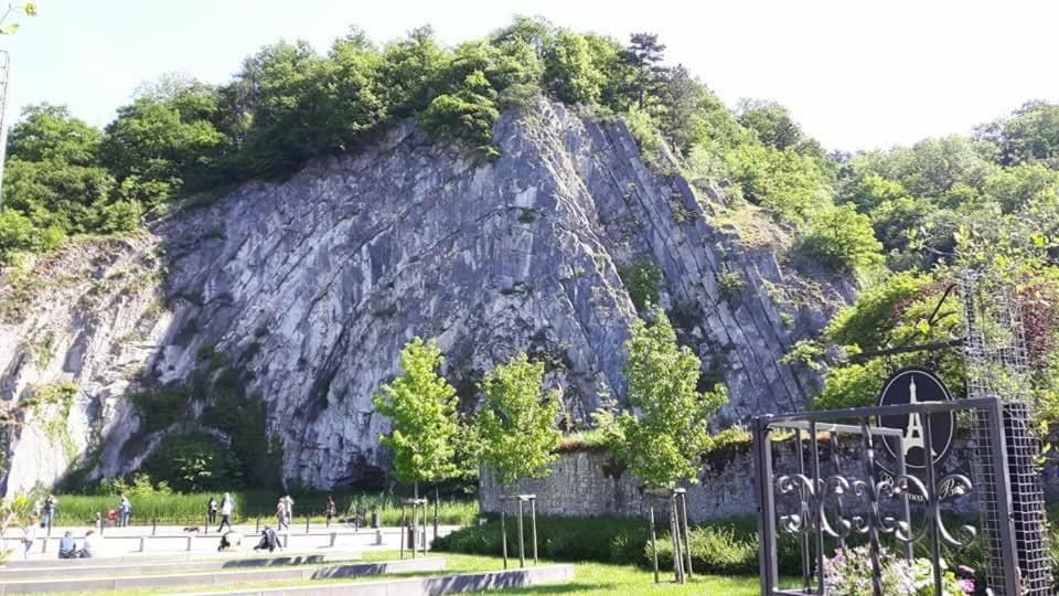 Titi'S Chalet デュルビュイ エクステリア 写真