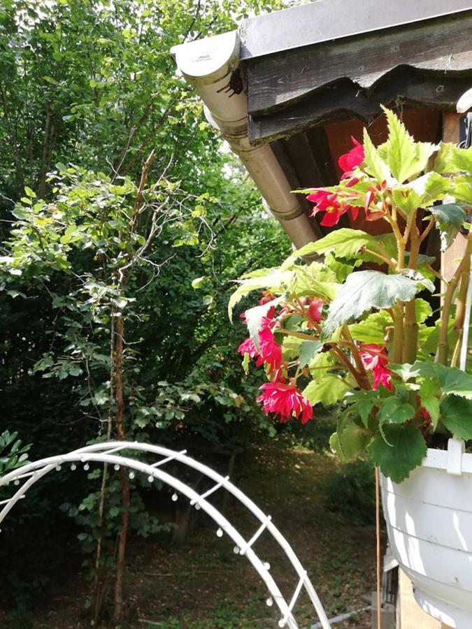 Titi'S Chalet デュルビュイ エクステリア 写真