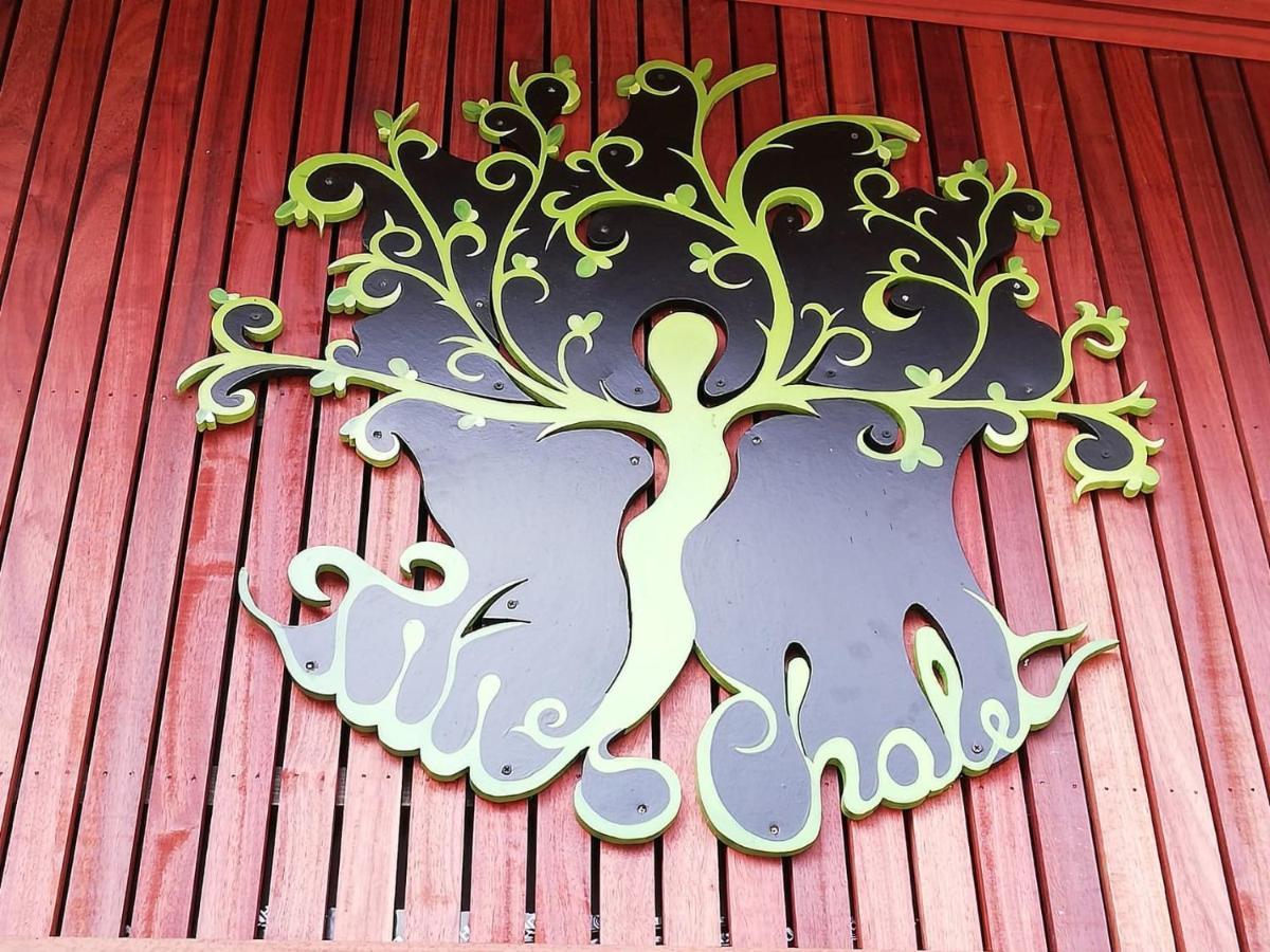 Titi'S Chalet デュルビュイ エクステリア 写真