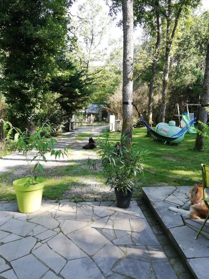 Titi'S Chalet デュルビュイ エクステリア 写真