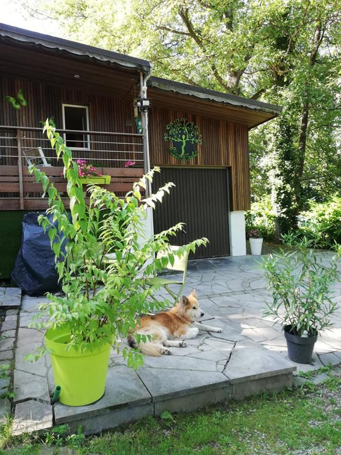 Titi'S Chalet デュルビュイ エクステリア 写真